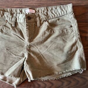 Carve Designs Oahu Women Shorts